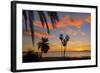 Palm Trees at Sunset in La Ventana, Baja California Sur, Mexico,-Christian Heeb-Framed Photographic Print