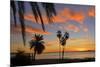 Palm Trees at Sunset in La Ventana, Baja California Sur, Mexico,-Christian Heeb-Mounted Photographic Print