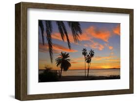 Palm Trees at Sunset in La Ventana, Baja California Sur, Mexico,-Christian Heeb-Framed Photographic Print