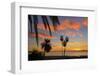 Palm Trees at Sunset in La Ventana, Baja California Sur, Mexico,-Christian Heeb-Framed Photographic Print