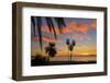 Palm Trees at Sunset in La Ventana, Baja California Sur, Mexico,-Christian Heeb-Framed Premium Photographic Print