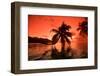 Palm Trees at Sunset, Moorea, Tahiti, French Polynesia-null-Framed Photographic Print