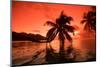 Palm Trees at Sunset, Moorea, Tahiti, French Polynesia-null-Mounted Photographic Print