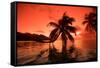 Palm Trees at Sunset, Moorea, Tahiti, French Polynesia-null-Framed Stretched Canvas