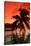 Palm Trees at Sunset, Moorea, Tahiti, French Polynesia-null-Stretched Canvas