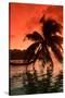 Palm Trees at Sunset, Moorea, Tahiti, French Polynesia-null-Stretched Canvas