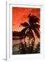 Palm Trees at Sunset, Moorea, Tahiti, French Polynesia-null-Framed Photographic Print