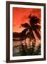 Palm Trees at Sunset, Moorea, Tahiti, French Polynesia-null-Framed Photographic Print