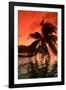 Palm Trees at Sunset, Moorea, Tahiti, French Polynesia-null-Framed Photographic Print