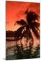 Palm Trees at Sunset, Moorea, Tahiti, French Polynesia-null-Mounted Photographic Print