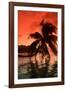 Palm Trees at Sunset, Moorea, Tahiti, French Polynesia-null-Framed Photographic Print