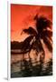 Palm Trees at Sunset, Moorea, Tahiti, French Polynesia-null-Framed Photographic Print