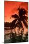 Palm Trees at Sunset, Moorea, Tahiti, French Polynesia-null-Mounted Photographic Print