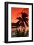 Palm Trees at Sunset, Moorea, Tahiti, French Polynesia-null-Framed Photographic Print