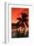 Palm Trees at Sunset, Moorea, Tahiti, French Polynesia-null-Framed Photographic Print