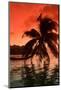 Palm Trees at Sunset, Moorea, Tahiti, French Polynesia-null-Mounted Photographic Print