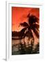 Palm Trees at Sunset, Moorea, Tahiti, French Polynesia-null-Framed Premium Photographic Print