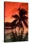 Palm Trees at Sunset, Moorea, Tahiti, French Polynesia-null-Stretched Canvas
