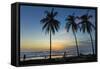 Palm Trees at Sunset on Playa Guiones Surf Beach at Sunset-Rob Francis-Framed Stretched Canvas