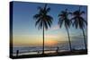 Palm Trees at Sunset on Playa Guiones Surf Beach at Sunset-Rob Francis-Stretched Canvas