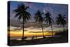 Palm Trees at Sunset on Playa Guiones Surfing Beach-Rob Francis-Stretched Canvas