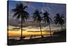 Palm Trees at Sunset on Playa Guiones Surfing Beach-Rob Francis-Stretched Canvas