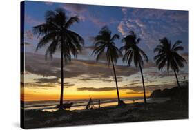 Palm Trees at Sunset on Playa Guiones Surfing Beach-Rob Francis-Stretched Canvas