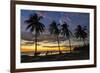 Palm Trees at Sunset on Playa Guiones Surfing Beach-Rob Francis-Framed Photographic Print