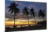 Palm Trees at Sunset on Playa Guiones Surfing Beach-Rob Francis-Mounted Photographic Print