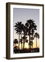 Palm Trees at Sunset, Playa De Los Amadores, Gran Canaria, Canary Islands, Spain, Atlantic, Europe-Markus Lange-Framed Photographic Print