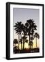 Palm Trees at Sunset, Playa De Los Amadores, Gran Canaria, Canary Islands, Spain, Atlantic, Europe-Markus Lange-Framed Photographic Print