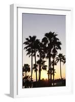 Palm Trees at Sunset, Playa De Los Amadores, Gran Canaria, Canary Islands, Spain, Atlantic, Europe-Markus Lange-Framed Photographic Print