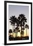 Palm Trees at Sunset, Playa De Los Amadores, Gran Canaria, Canary Islands, Spain, Atlantic, Europe-Markus Lange-Framed Photographic Print