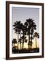 Palm Trees at Sunset, Playa De Los Amadores, Gran Canaria, Canary Islands, Spain, Atlantic, Europe-Markus Lange-Framed Photographic Print