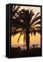 Palm Trees at Sunset, Playa De Los Amadores, Gran Canaria, Canary Islands, Spain, Atlantic, Europe-Markus Lange-Framed Stretched Canvas