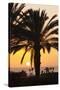 Palm Trees at Sunset, Playa De Los Amadores, Gran Canaria, Canary Islands, Spain, Atlantic, Europe-Markus Lange-Stretched Canvas