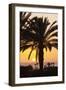 Palm Trees at Sunset, Playa De Los Amadores, Gran Canaria, Canary Islands, Spain, Atlantic, Europe-Markus Lange-Framed Photographic Print