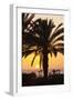 Palm Trees at Sunset, Playa De Los Amadores, Gran Canaria, Canary Islands, Spain, Atlantic, Europe-Markus Lange-Framed Photographic Print