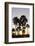 Palm Trees at Sunset, Playa De Los Amadores, Gran Canaria, Canary Islands, Spain, Atlantic, Europe-Markus Lange-Framed Photographic Print