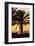 Palm Trees at Sunset, Playa De Los Amadores, Gran Canaria, Canary Islands, Spain, Atlantic, Europe-Markus Lange-Framed Photographic Print