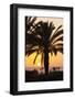 Palm Trees at Sunset, Playa De Los Amadores, Gran Canaria, Canary Islands, Spain, Atlantic, Europe-Markus Lange-Framed Photographic Print