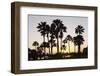 Palm Trees at Sunset, Playa De Los Amadores, Gran Canaria, Canary Islands, Spain, Atlantic, Europe-Markus Lange-Framed Photographic Print