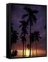 Palm Trees at Sunset, Puerto Rico-Greg Johnston-Framed Stretched Canvas