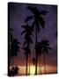 Palm Trees at Sunset, Puerto Rico-Greg Johnston-Stretched Canvas