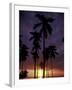 Palm Trees at Sunset, Puerto Rico-Greg Johnston-Framed Photographic Print