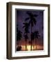 Palm Trees at Sunset, Puerto Rico-Greg Johnston-Framed Photographic Print