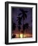 Palm Trees at Sunset, Puerto Rico-Greg Johnston-Framed Photographic Print