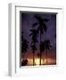 Palm Trees at Sunset, Puerto Rico-Greg Johnston-Framed Photographic Print