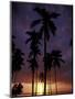 Palm Trees at Sunset, Puerto Rico-Greg Johnston-Mounted Photographic Print