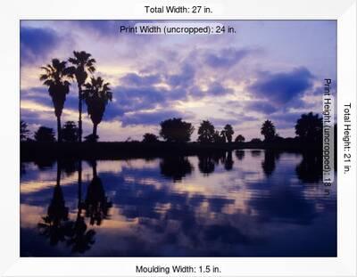 Palm Trees At Sunset Rio Grande Valley Texas Usa Photographic Print Rolf Nussbaumer Allposters Com